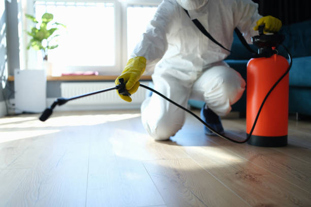 Reliable Biohazard contractor in Ward, CO by Crime Scene Cleaner Online